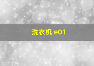 洗衣机 e01